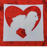 Février Bichon Frise