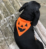 Dog modeling an orange bandana with a jack-o-lantern face applique on it. by snugglepuppyapplique.com