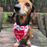 In the hoop bandana heart with words "lover boy" embroidered by snugglepuppyapplique.com