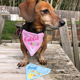 Ensemble bandanas de Pâques ITH
