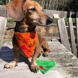In the hoop cinco de Mayo pet bandanas with a chili pepper. One says 'hot stuff" and one says "mild stuff" by snuggleupuppyappliquqe.com