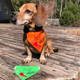 An in the hoop cinco de Mayo pet bandanas with a chili pepper. One says 'hot stuff" and one says "mild stuff" by snuggleupuppyappliquqe.com
