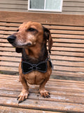 ITH bow tie embroidery design for dogs, snugglepuppyapplique.com