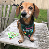 In the hoop "Chaos Coordinator" Christmas pet bandana by snugglepuppyapplique.com