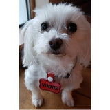 ITH Bone Dog Tag, in the hoop Bone dog tag embroidery design, snugglepuppyapplique.com