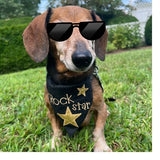 An in the hoop pet bandana with appliqué stars and the words "Rock Star" embroidered by snugglepuppyapplique.com
