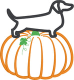 Teckel d'octobre