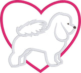 Février Bichon Frise