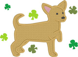 Chihuahua with shamrocks, March chihuahua applique embroidery design, snugglepuppyapplique.com