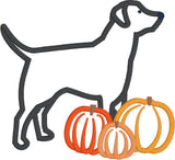 12 months of Labradors bundle