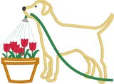 12 months of Labradors bundle