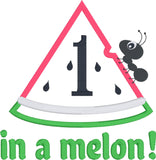One in a Melon first birthday applique embroidery design, watermelon, snugglepuppyapplique.com