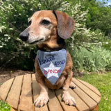 An in the hoop design of a pet bandana with the words "Yankee Doodle Dandy" and a star appplique by snugglepuppyapplique.com