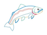 An applique design of a patchwork trout in zigzag