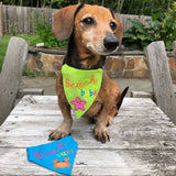 Dog modeling "beach Babe" bandana by snugglepuppyapplique.com