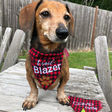 Dog wearing an in the hoop  bandana with a paw print appliqué and  the word "trailblazer" embroidered on it, by snugglepuppyapplique.com