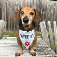 In the hoop medical alert pet bandana with "diabetes" embroidered on it by snugglepuppyapplique.com