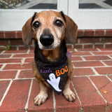 An in the hoop pet bandana of with a ghost and the words "little Boo" embroidery design by snugglepuppyapplique.com