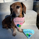 A dachshund wearing an in the hoop bandana with appliquéd balloons and the words "birthday girl" embroidered above them. By snugglepuppyapplique.com