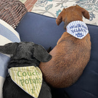 dogs wearing in the hoop pet bandanas one that says "couch potato" and the other says "walking buddy" by snugglepuppyapplique.com