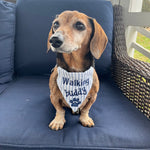 An in the hoop pet bandana that has  "walking buddy" embroidered on it and a paw print in zigzag applique. by snugglepuppyapplique.com