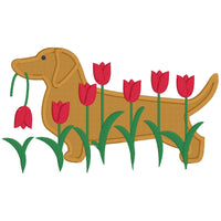 May Dachshund applique embroidery design, Dachshund in profile with a row of tulips in front the foreground.  Dachshund has a tulip in his mouth