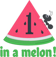 One in a Melon first birthday applique embroidery design, watermelon, snugglepuppyapplique.com