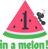 One in a Melon first birthday applique embroidery design, watermelon, snugglepuppyapplique.com